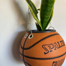 Charger l'image dans la galerie, ballon-de-basket-plante-decoration-originale