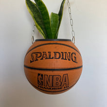 Charger l'image dans la galerie, ballon-de-basket-plante-decoration-originale