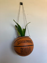 Charger l'image dans la galerie, ballon-de-basket-plante-decoration-originale