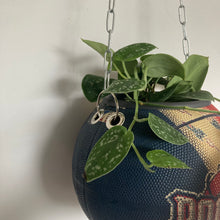Charger l'image dans la galerie, ballon-de-basket-recycle-en-pot-de-fleurs-decoration-basketball-rockets