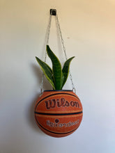 Charger l'image dans la galerie, ballon-de-basket-wilson-plante-decoration-originale