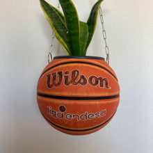 Charger l'image dans la galerie, ballon-de-basket-wilson-plante-decoration-originale