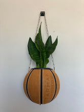 Charger l'image dans la galerie, deco-basket-nba-ballon-de-basketball-planter-pot-de-fleurs-plante-tarmak