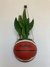 Charger l'image dans la galerie, deco-chambre-basket-nba-ballon-de-basketball-planter-pot-de-fleurs-plante-molten