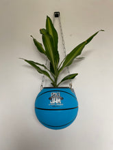 Charger l'image dans la galerie, deco-de-basket-decoration-nba-basketball-planter-ballon-de-basket-pot-de-fleurs-space-jam