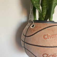 Charger l'image dans la galerie, deco-nba-pour-basketteurs-ballon-de-basket-adidas-vintage-pot-de-fleurs-plantes