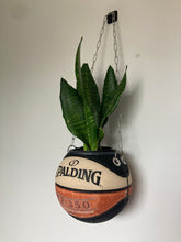 Charger l'image dans la galerie, decoration-basket-nba-sneakers-room-ballon-de-basketball-planter-pot-de-fleurs-spalding