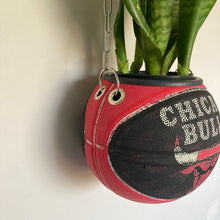 Charger l'image dans la galerie, decoration-de-basket-deco-nba-basketball-planter-ballon-de-basket-pot-de-fleurs-spalding-chicago-bulls