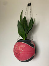 Charger l'image dans la galerie, decoration-nba-basket-sneakers-room-ballon-de-basketball-planter-pot-de-fleurs-spalding-chicago-bulls