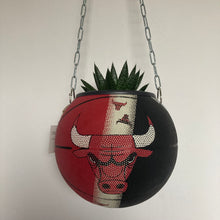 Charger l'image dans la galerie, deco-basketball-plante-ballon-de-basket-recycle-chicago-bulls