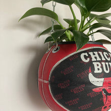 Charger l'image dans la galerie, deco-basketball-plante-ballon-de-basket-recycle-chicago-bulls