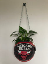 Charger l'image dans la galerie, deco-basketball-plante-ballon-de-basket-recycle-chicago-bulls