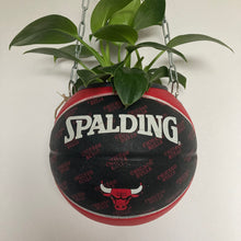Charger l'image dans la galerie, deco-basketball-plante-ballon-de-basket-recycle-chicago-bulls