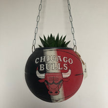 Charger l'image dans la galerie, deco-basketball-plante-ballon-de-basket-recycle-chicago-bulls