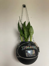 Charger l'image dans la galerie, deco-basketball-plante-ballon-de-basket-recycle-spalding-nba