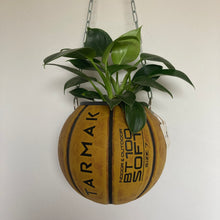 Charger l'image dans la galerie, deco-basketball-plante-ballon-de-basket-recycle-tarmak