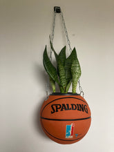 Charger l'image dans la galerie, deco-basketball-plante-ballon-de-basket-spalding