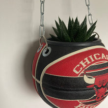 Charger l'image dans la galerie, deco-basketball-vintage-plante-ballon-de-basket-chicago-bulls-nba