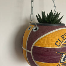 Charger l'image dans la galerie, deco-basketball-vintage-plante-ballon-de-basket-cleveland-cavaliers-nba
