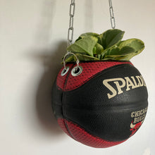Charger l'image dans la galerie, decoration-ballon-de-basket--vintage-transforme-en-pot-de-fleurs-chicago-bulls