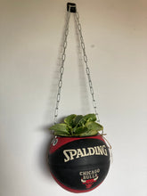 Charger l'image dans la galerie, decoration-ballon-de-basket--vintage-transforme-en-pot-de-fleurs-chicago-bulls