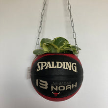 Charger l'image dans la galerie, decoration-ballon-de-basket--vintage-transforme-en-pot-de-fleurs-chicago-bulls
