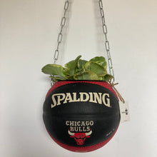 Charger l'image dans la galerie, decoration-ballon-de-basket--vintage-transforme-en-pot-de-fleurs-chicago-bulls