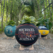 Charger l'image dans la galerie, decoration ballon de basket transforme en pot de fleur - cache pot