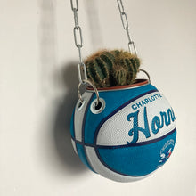Charger l'image dans la galerie, decoration-ballon-de-basket-transforme-en-pot-de-fleur-hornets