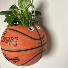 Charger l'image dans la galerie, decoration-ballon-de-basket-transforme-en-pot-de-fleur-spalding-basketball-planter