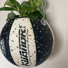 Charger l'image dans la galerie, decoration-ballon-de-basket-transforme-en-pot-de-fleur-noir-et-blanc-basketball-planter