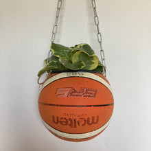 Charger l'image dans la galerie, decoration-ballon-de-basket-transforme-en-pot-de-fleurs-molten