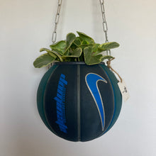 Charger l'image dans la galerie, decoration-ballon-de-basket-transforme-en-pot-de-fleurs-nike