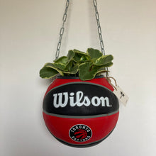 Charger l'image dans la galerie, decoration-ballon-de-basket-transforme-en-pot-de-fleurs-raptors