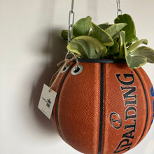 Charger l'image dans la galerie, decoration-ballon-de-basket-transforme-en-pot-de-fleurs-spalding