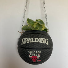 Charger l'image dans la galerie, decoration-ballon-de-basket-transforme-en-pot-de-fleurs-spalding-chicago-bulls