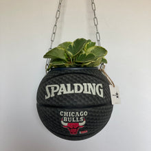 Charger l'image dans la galerie, decoration-ballon-de-basket-transforme-en-pot-de-fleurs-spalding-chicago-bulls