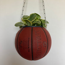 Charger l'image dans la galerie, decoration-ballon-de-basket-transforme-en-pot-de-fleurs-spalding-rouge
