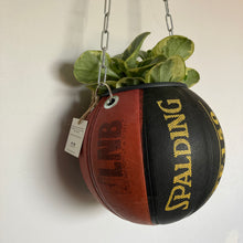 Charger l'image dans la galerie, decoration-ballon-de-basket-transforme-en-pot-de-fleurs-spalding-tf-150