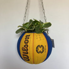 Charger l'image dans la galerie, decoration-ballon-de-basket-transforme-en-pot-de-fleurs-spalding-wilson-3x3
