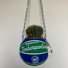 Charger l'image dans la galerie, decoration-ballon-de-basket-transforme-en-pot-de-fleurs-timberwolves