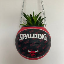 Charger l'image dans la galerie, decoration-basketball-plante-vase-ballon-de-basket-chicago-bulls-nba