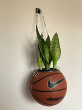 Charger l'image dans la galerie, decoration-plante-ballon-de-basket-pot-de-fleurs-nike