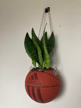 Charger l'image dans la galerie, decoration-sneakers-adidas-pot-de-fleurs-plante-ballon-de-basket-basketball-planter