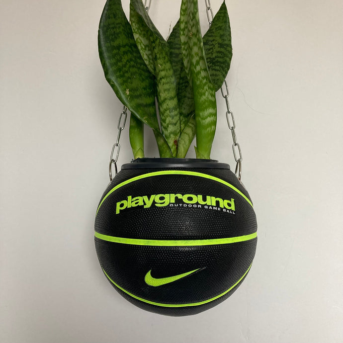     idee-deco-chambre-sneaker-room-basketball-planter-pot-de-fleurs-ballon-de-basket-nike-plante