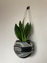 Charger l'image dans la galerie, idee-deco-chambre-sneaker-room-basketball-planter-pot-de-fleurs-ballon-de-basket-spurs-plante