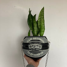 Charger l'image dans la galerie, idee-deco-chambre-sneaker-room-basketball-planter-pot-de-fleurs-ballon-de-basket-spurs-plante
