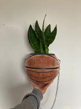 Charger l'image dans la galerie, idee-deco-chambre-sneaker-room-basketball-planter-pot-de-fleurs-ballon-de-basket-vintage-spalding-plante