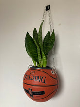 Charger l'image dans la galerie, idee-decoration-chambre-basketball-planter-pot-de-fleurs-ballon-de-basket-plante