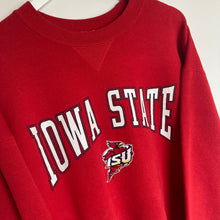 Charger l'image dans la galerie, Sweat university Iowa State usa (L) - Turtle Frip